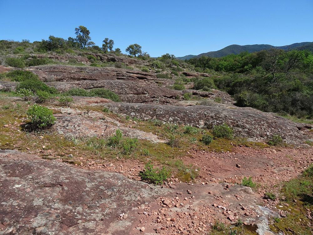 Dalles de grès. Le massif des Maures en arrière-plan