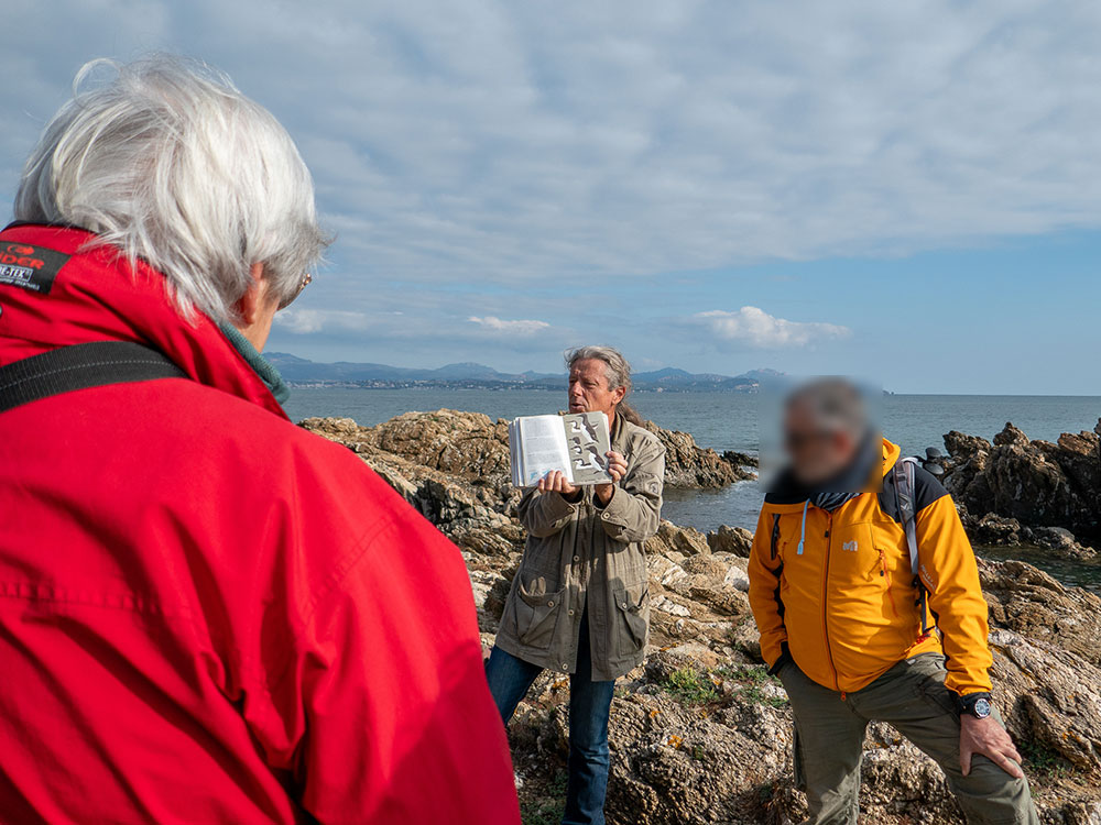 Les oiseaux de mer (© C. HUET)